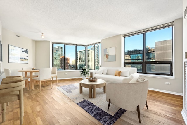 living room with a textured ceiling and light hardwood / wood-style flooring