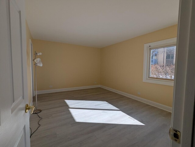 15 Piper Ln Unit 102, Prospect Heights, IL 60070 - walk in closet with electric panel and light wood finished floors