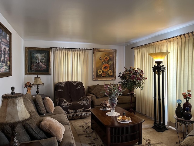 view of carpeted living room