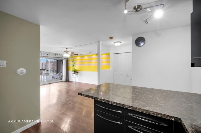 kitchen featuring dark cabinets, dark stone counters, ceiling fan, and wood finished floors