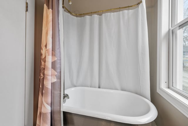 bathroom with a healthy amount of sunlight and a freestanding tub