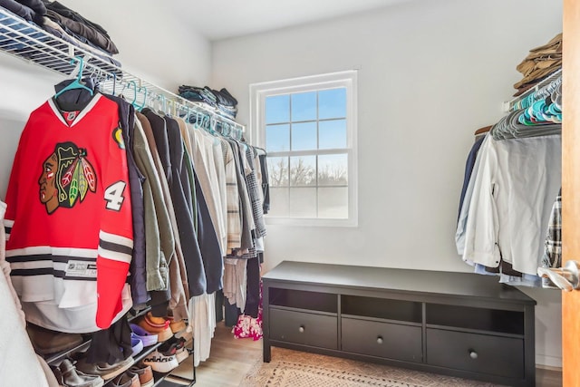 spacious closet featuring wood finished floors