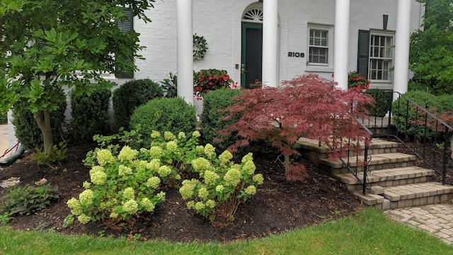 entrance to property featuring brick siding