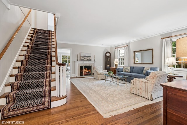 living area with stairs, a lit fireplace, ornamental molding, and wood finished floors