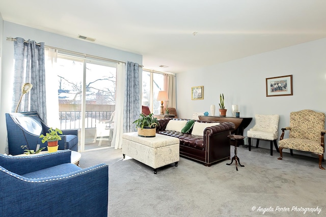 view of carpeted living room