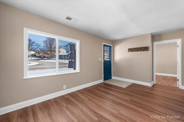 entryway featuring wood-type flooring