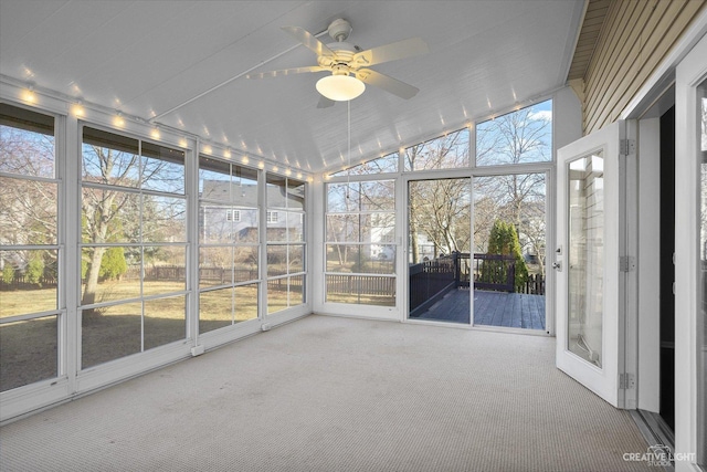 unfurnished sunroom featuring a ceiling fan and vaulted ceiling