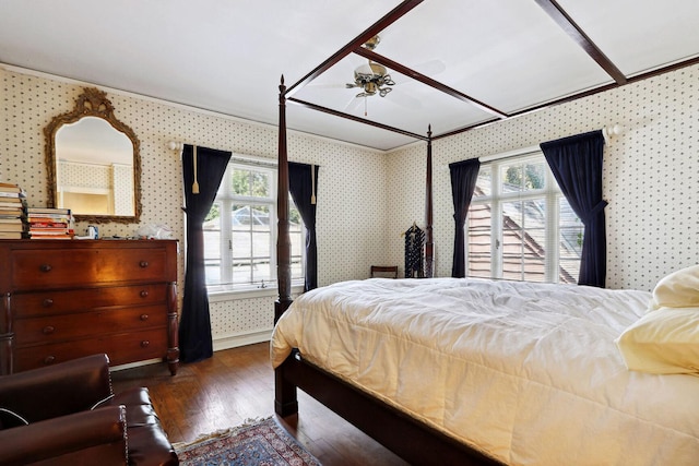 bedroom featuring multiple windows and dark hardwood / wood-style floors