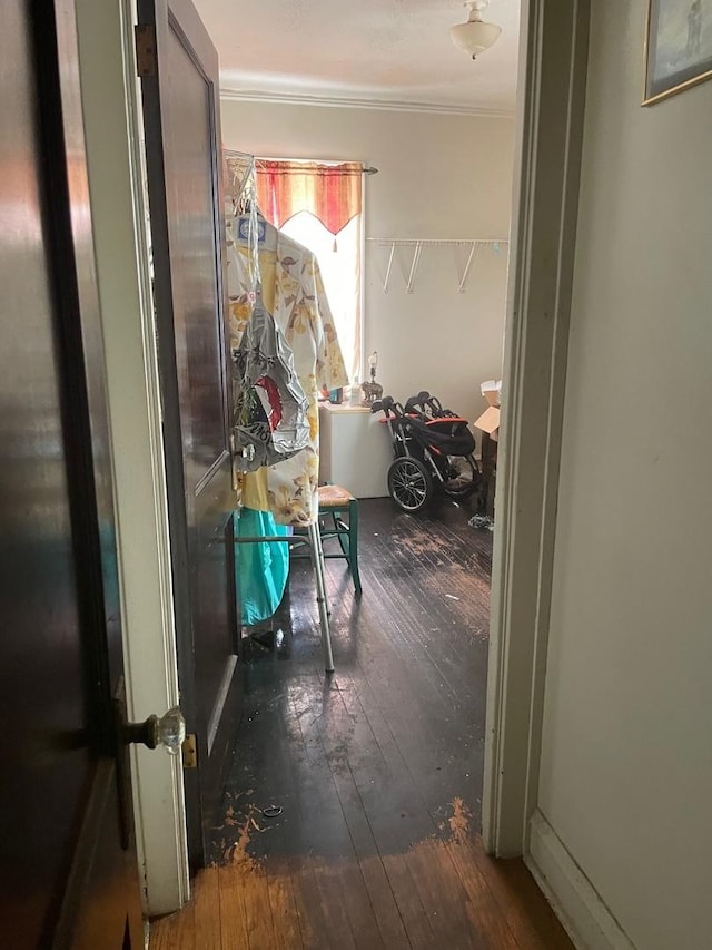 hall featuring crown molding and dark wood-type flooring