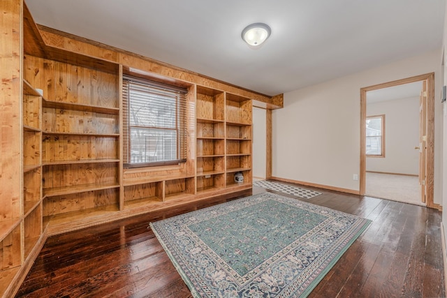 interior space featuring dark hardwood / wood-style floors