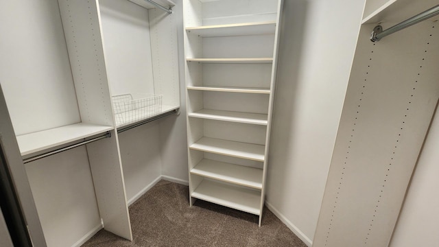 walk in closet with dark colored carpet