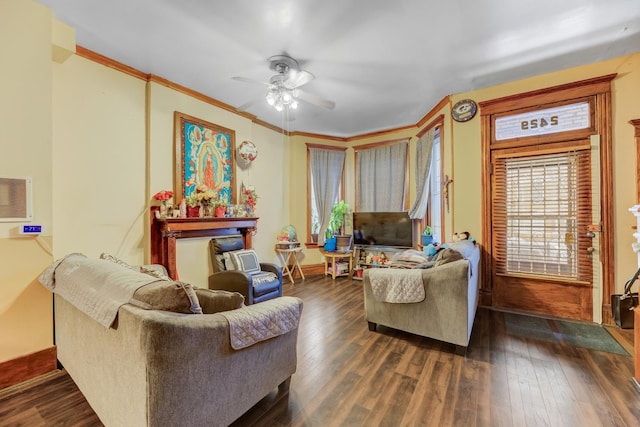 living room featuring ceiling fan, dark hardwood / wood-style flooring, and crown molding