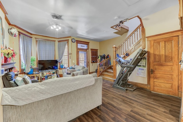 living room featuring ceiling fan and dark hardwood / wood-style flooring