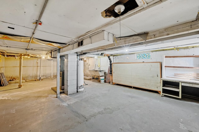 unfinished basement with gas water heater