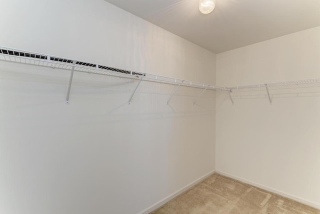 spacious closet with light colored carpet