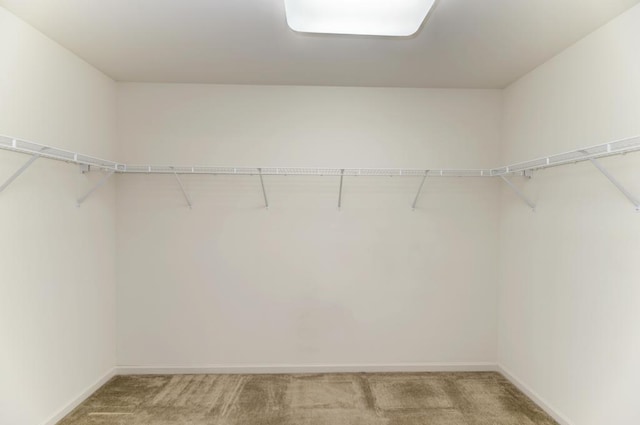 spacious closet with light carpet