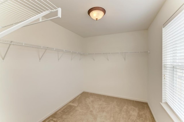 spacious closet featuring light colored carpet