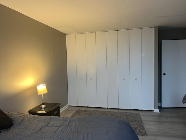 unfurnished bedroom with a closet and wood-type flooring