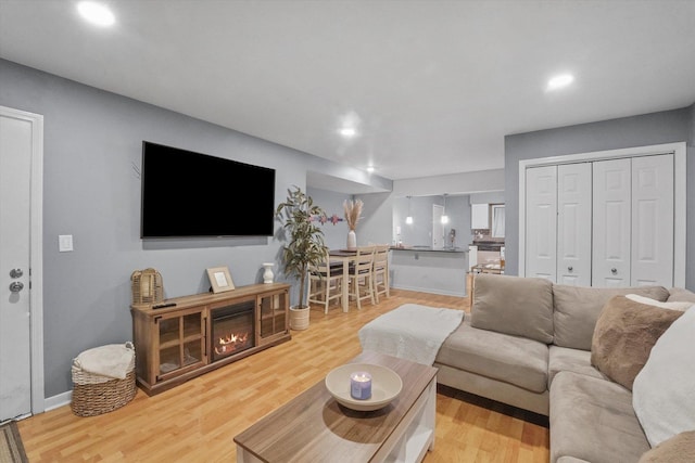 living room with light hardwood / wood-style flooring