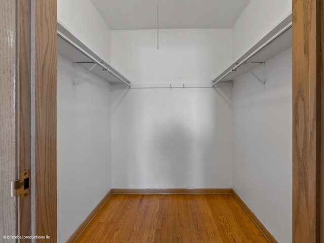 walk in closet featuring light wood finished floors