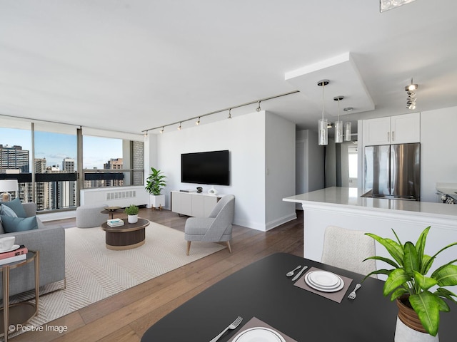 living room with rail lighting and dark wood-type flooring