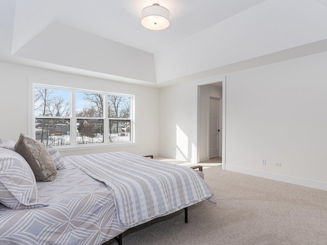 bedroom featuring a tray ceiling and carpet floors