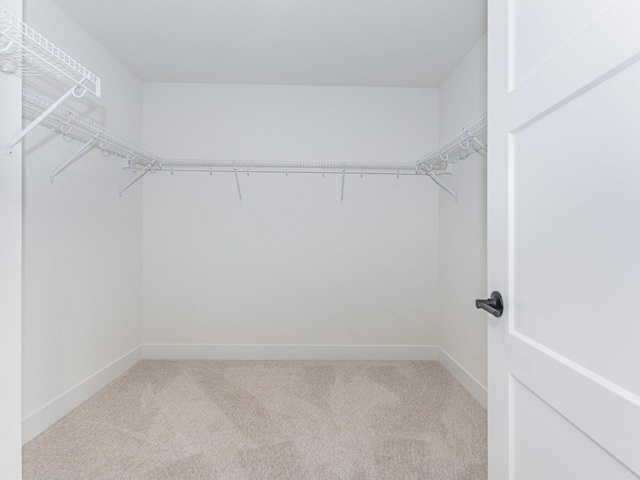 walk in closet with carpet floors