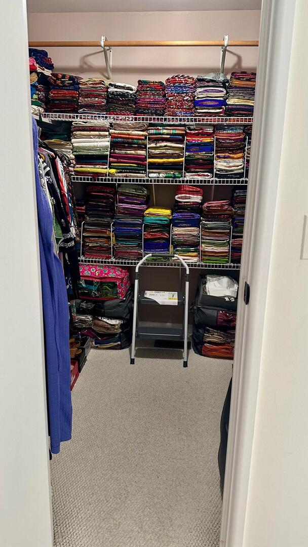 spacious closet with carpet floors