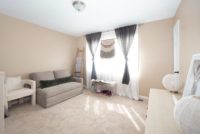 3642 Monarch Cir, Naperville, IL 60564 - living area with carpet floors and baseboards