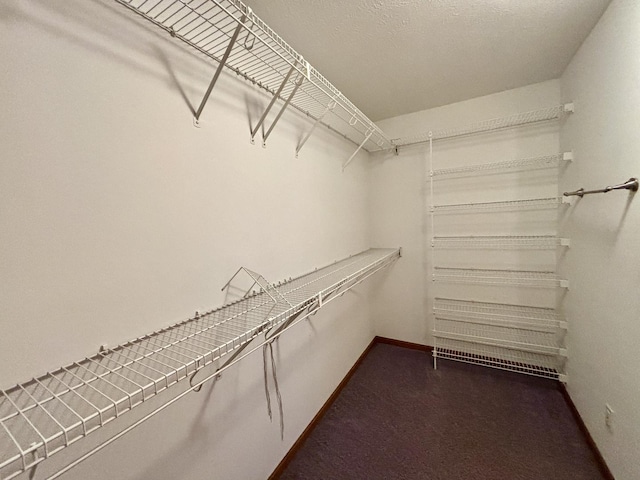 walk in closet featuring dark colored carpet