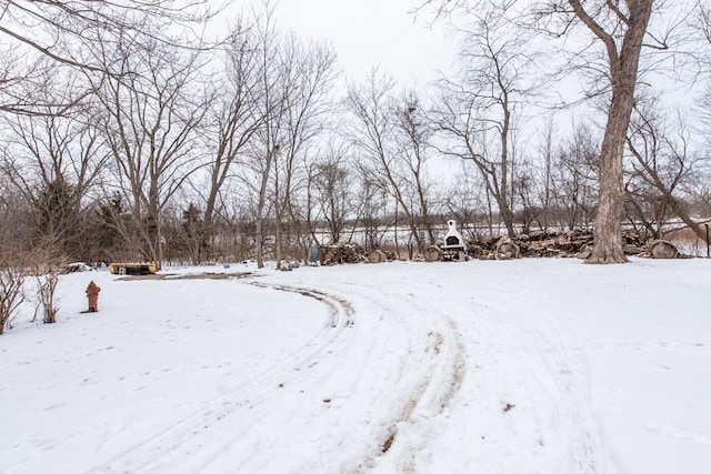 view of yard covered in snow