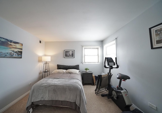 bedroom featuring carpet