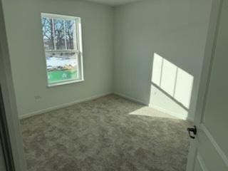 unfurnished bedroom featuring carpet