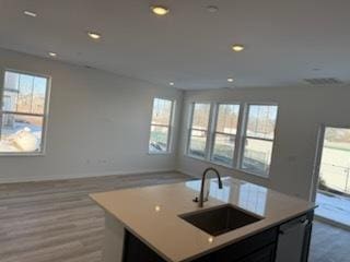 kitchen with sink, a kitchen island with sink, and light wood-type flooring