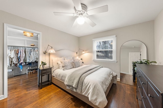 bedroom with a spacious closet, a closet, a ceiling fan, and dark wood-type flooring