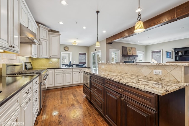 kitchen featuring dark brown cabinetry, under cabinet range hood, a healthy amount of sunlight, hanging light fixtures, and appliances with stainless steel finishes