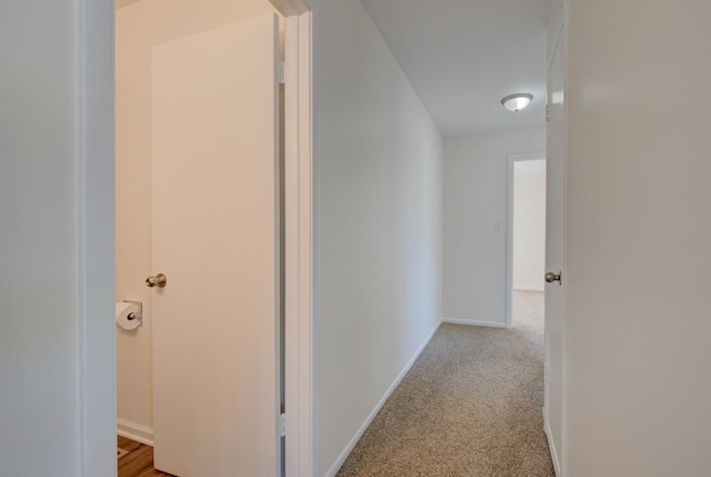 hallway with baseboards and carpet flooring