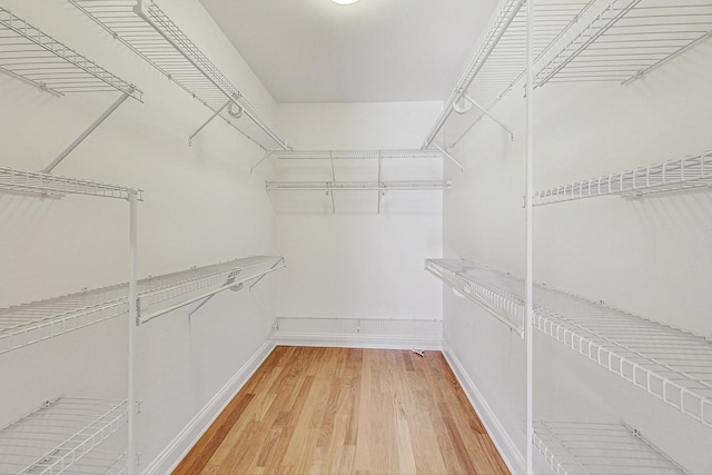 spacious closet featuring light wood-type flooring