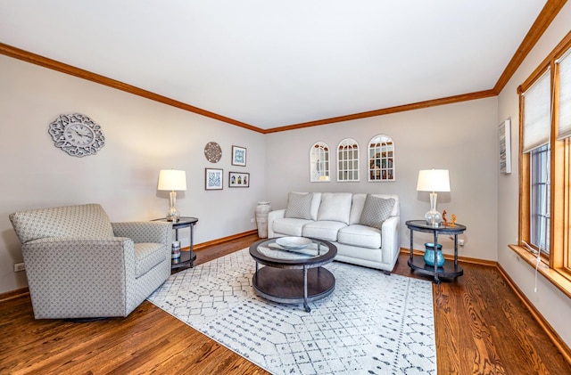 living room featuring crown molding and dark wood-type flooring