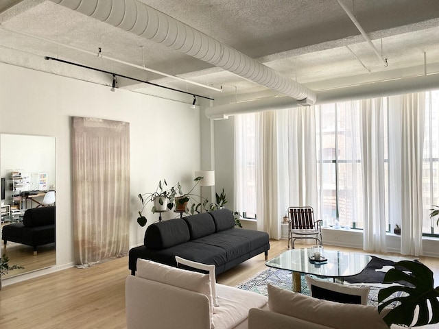 living room with light wood-style floors and track lighting