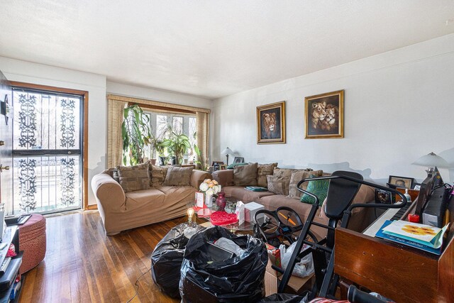 14817 Lexington Ave, Harvey, IL 60426 - living room with a healthy amount of sunlight and hardwood / wood-style flooring