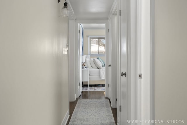 hallway featuring crown molding and dark wood finished floors