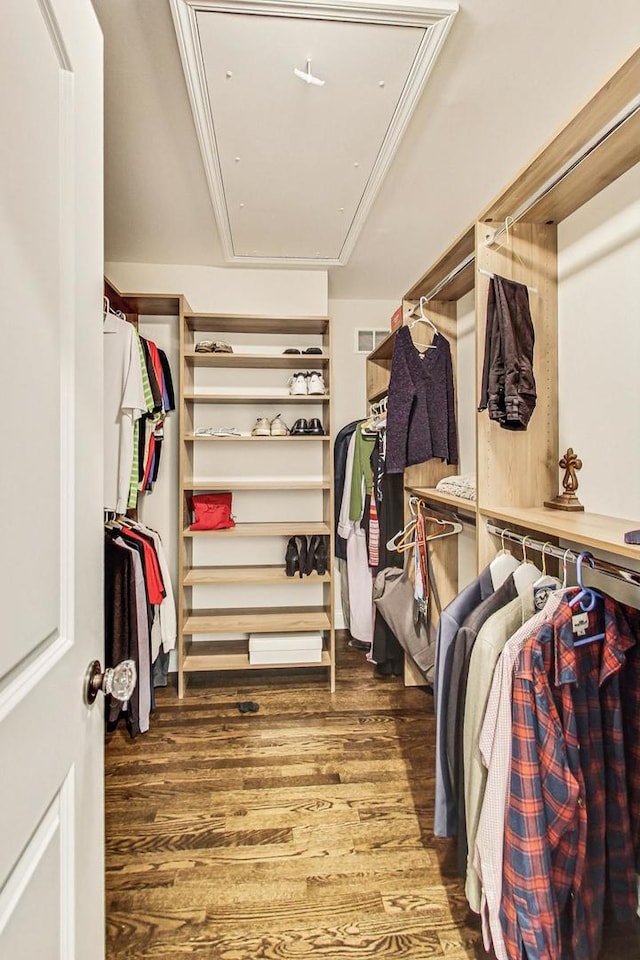 walk in closet with attic access, visible vents, and wood finished floors