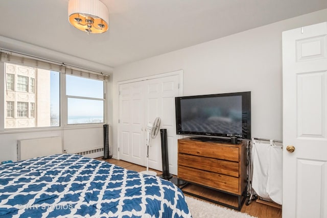 bedroom with light wood finished floors and radiator heating unit