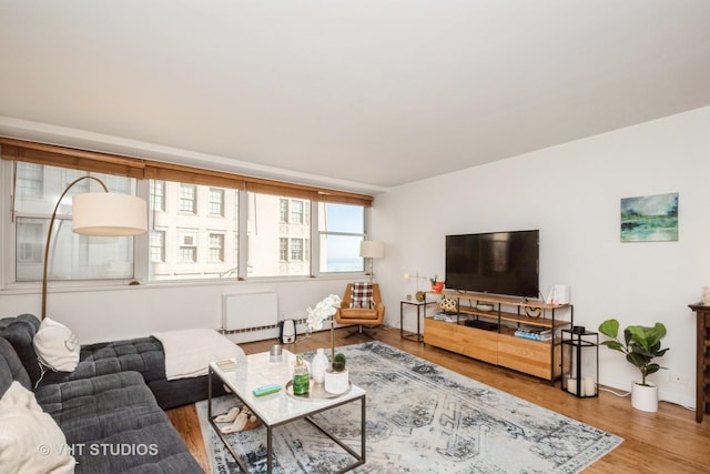 living area featuring wood finished floors