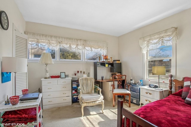 view of carpeted bedroom