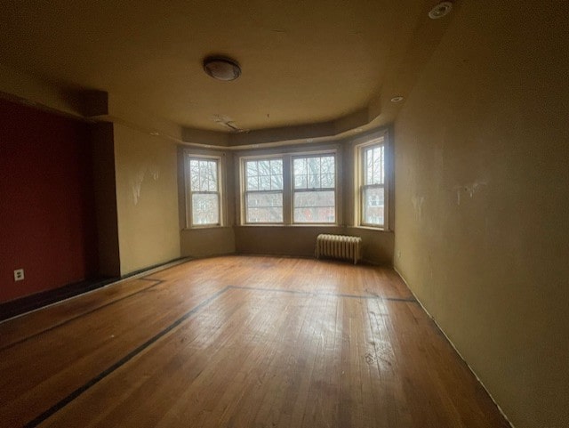 spare room with radiator and hardwood / wood-style floors