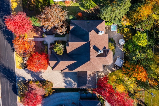 bird's eye view