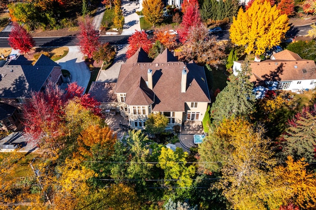 aerial view