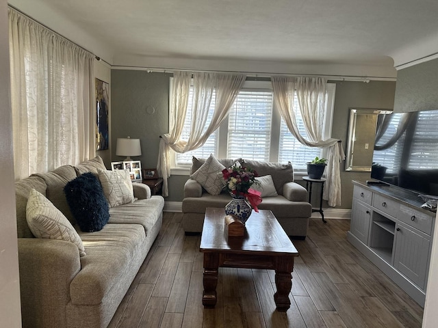 living room with dark hardwood / wood-style flooring